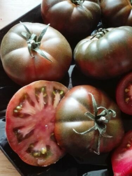 Tomate 'Marmande', dunkel gestreift, 20 Samen
